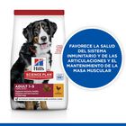 Hill's Science Plan Adult Large Pollo pienso para perros, , large image number null